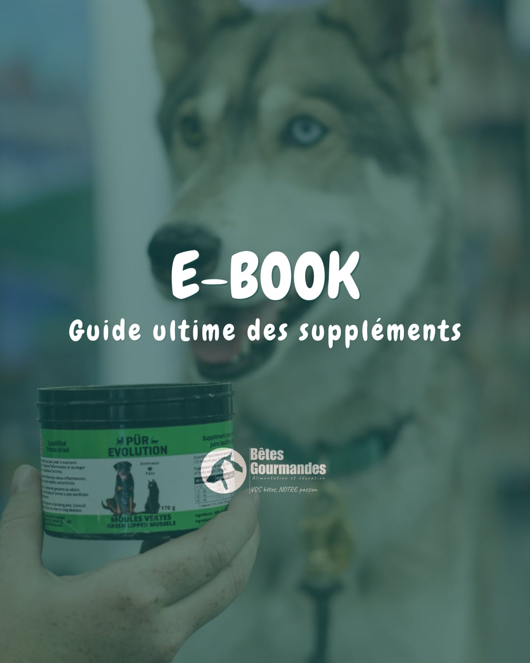 Ebook sur les suppléments