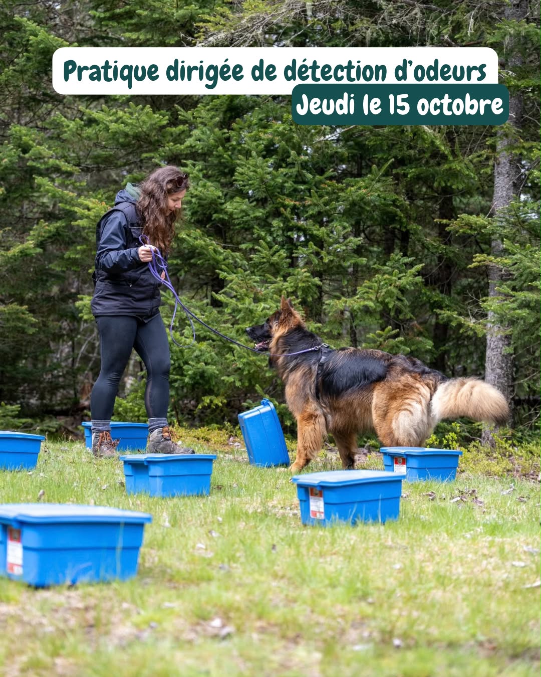 Pratique dirigée détection d'odeur