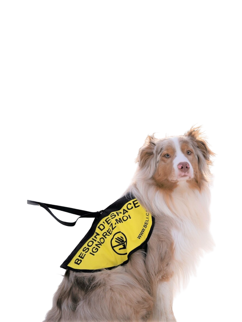 BELI - Dossard ''BESOIN D'ESPACE''