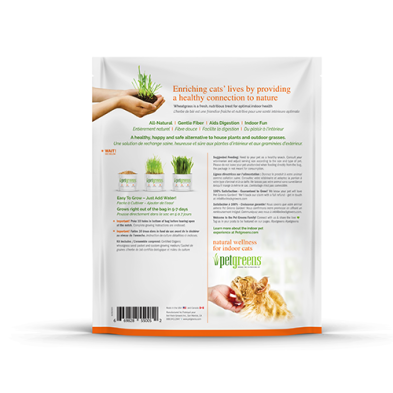 PETGREENS - Herbe à chat à faire pousser 88g. Bêtes Gourmandes, boutique spécialisée alimentation, éducation et sports pour chiens à Québec.