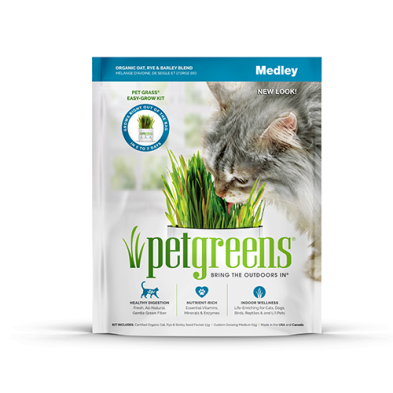 PETGREENS - Herbe à chat à faire pousser 88g. Bêtes Gourmandes, boutique spécialisée alimentation, éducation et sports pour chiens à Québec.