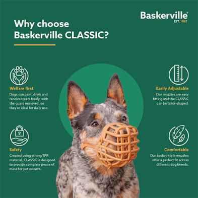 COFA - Muselière panier classique. Bêtes Gourmandes, boutique spécialisée alimentation, éducation et sports pour chiens à Québec.