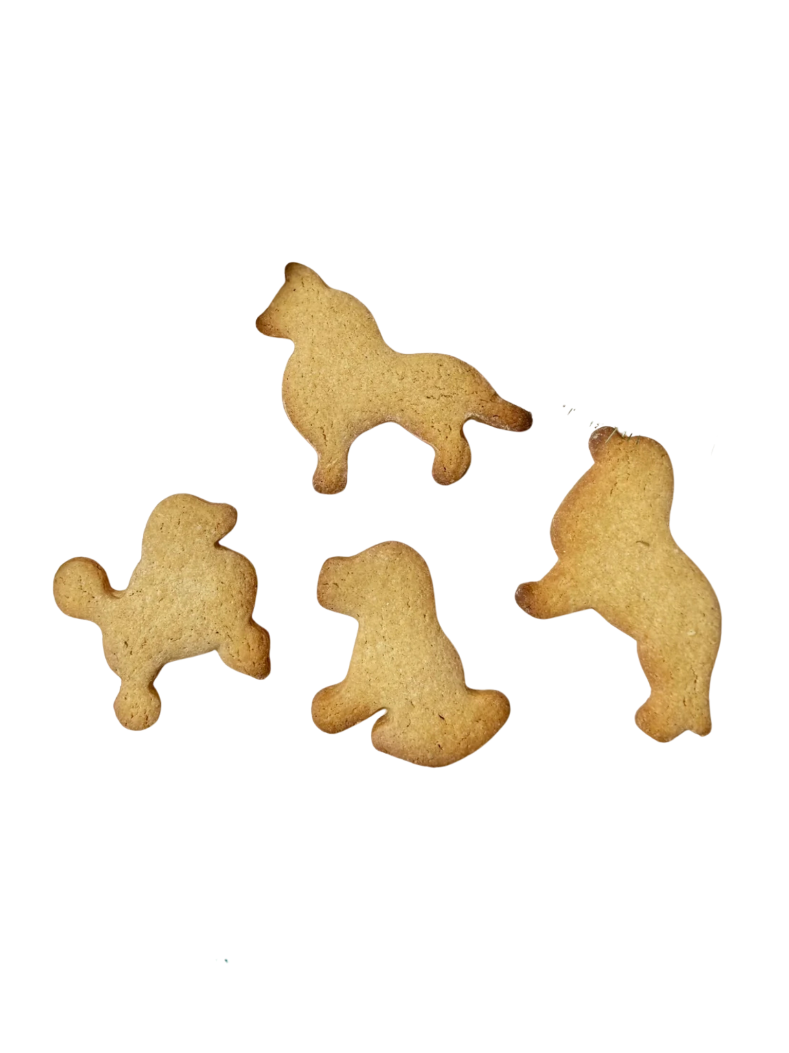 CHIEN GOURMAND - Biscuit de Noël en pain d'épice