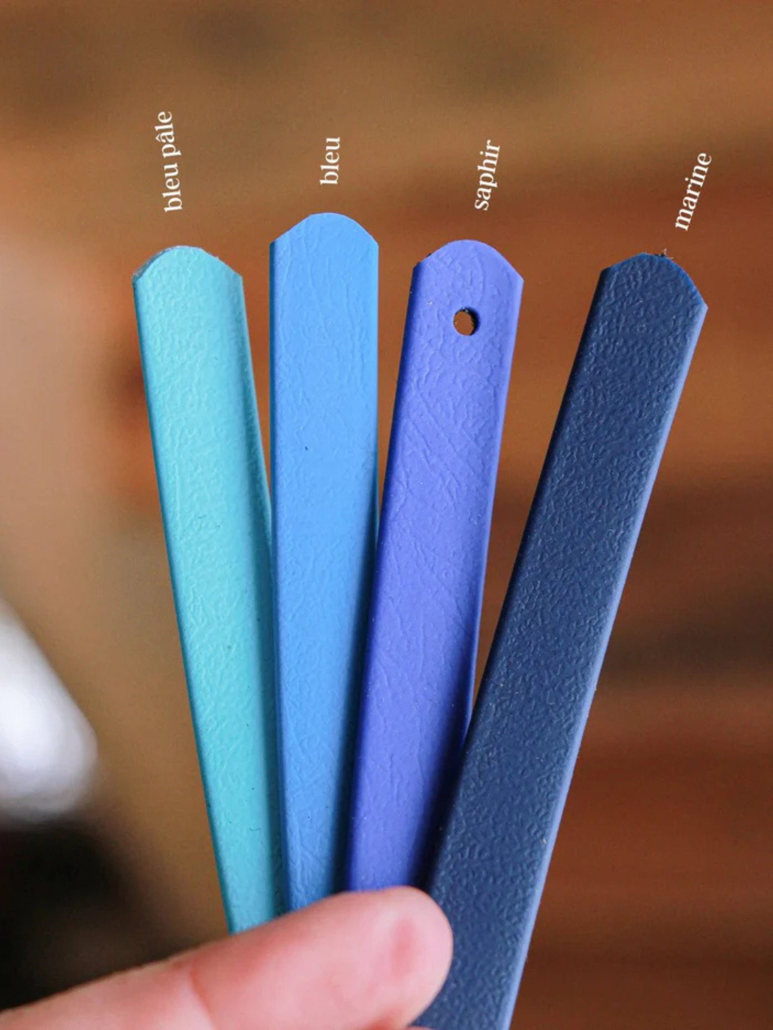 MÉDAILLES ALPINE - Laisse en biothane 5/8 po 5 pi