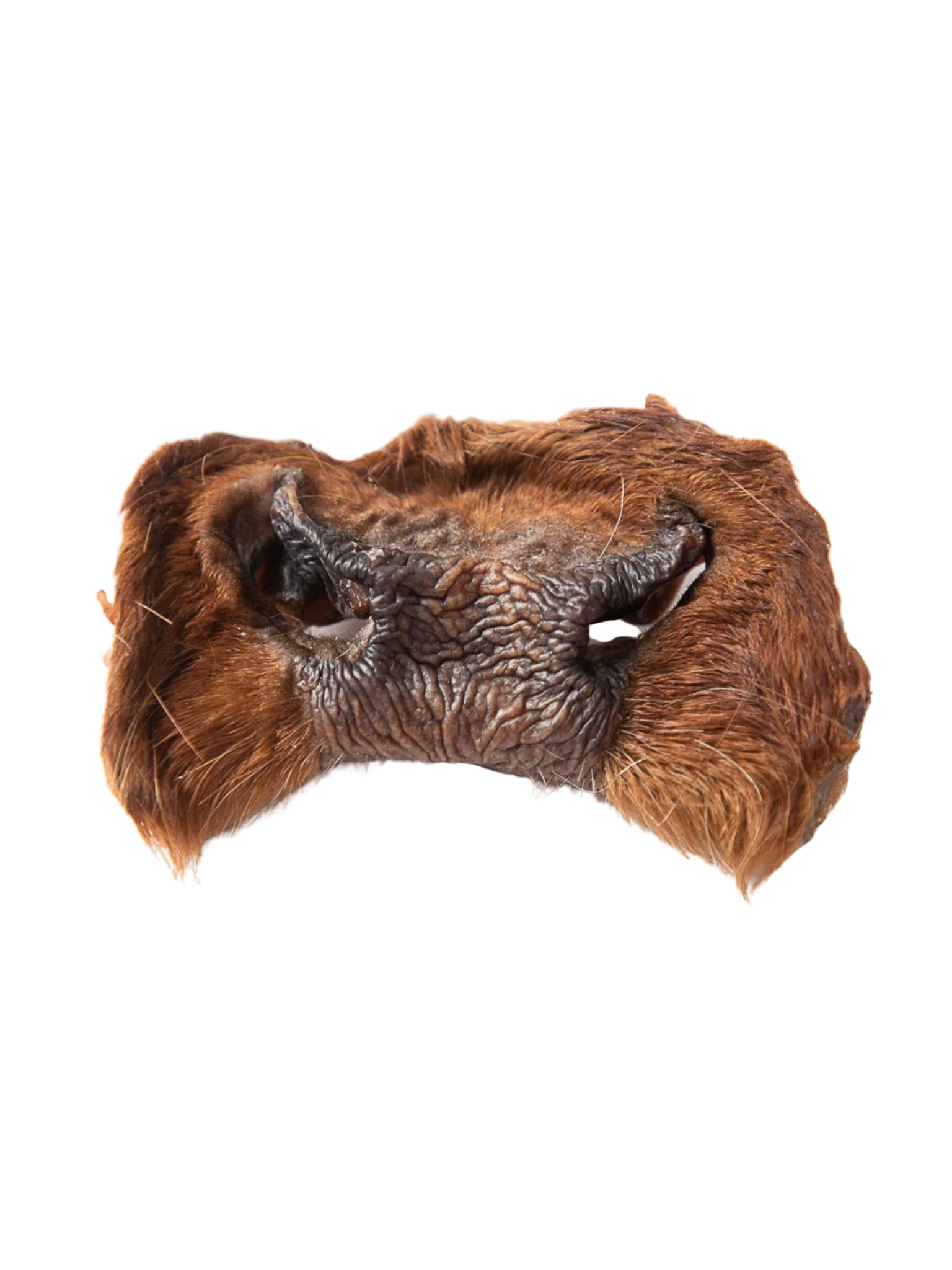 GVQ - Nez de boeuf. Bêtes Gourmandes, boutique spécialisée alimentation, éducation et sports pour chiens à Québec.