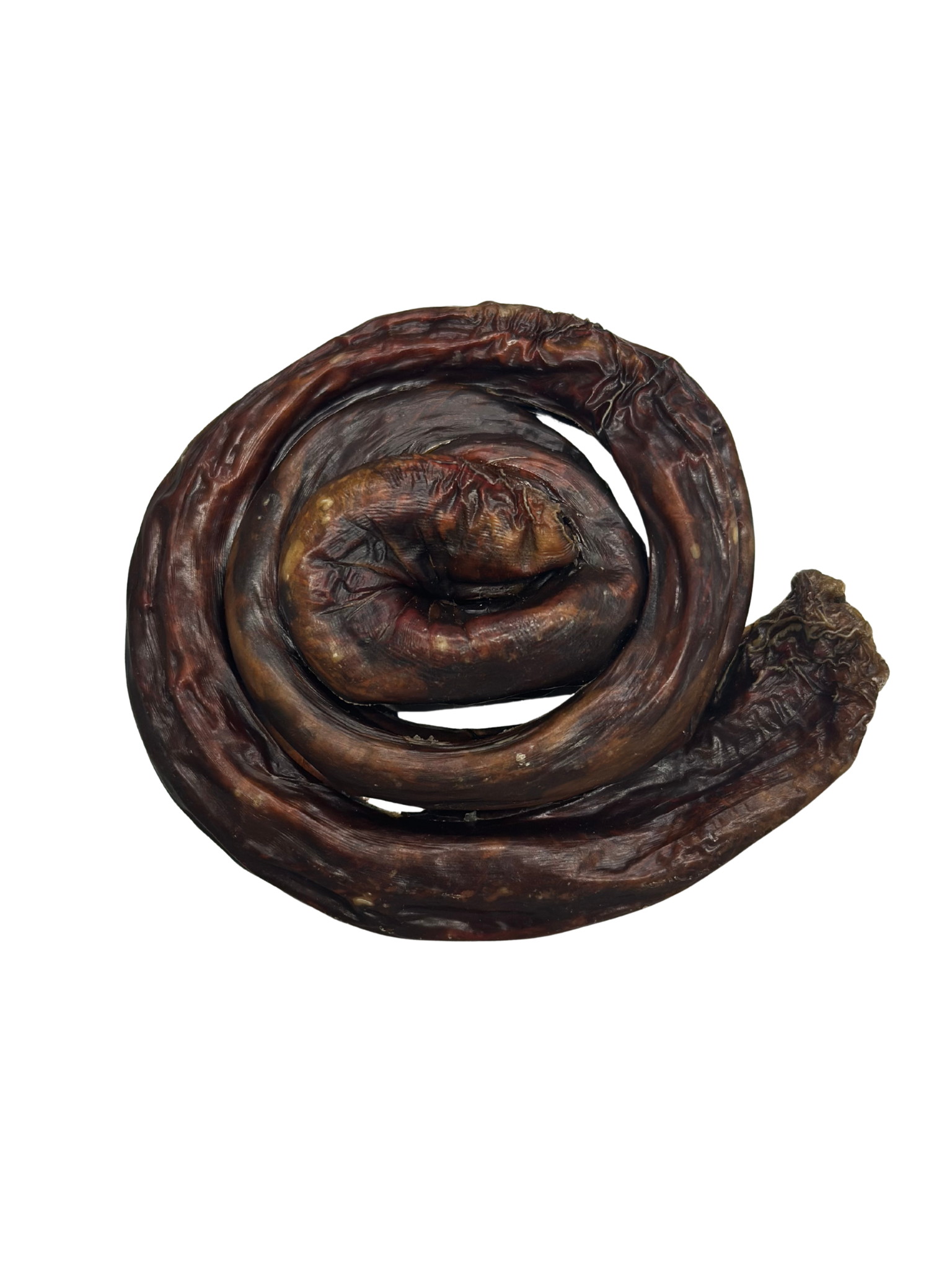 VRAC POUR CHIEN - Brioche d'oesophage de boeuf. Bêtes Gourmandes, boutique spécialisée alimentation, éducation et sports pour chiens à Québec.