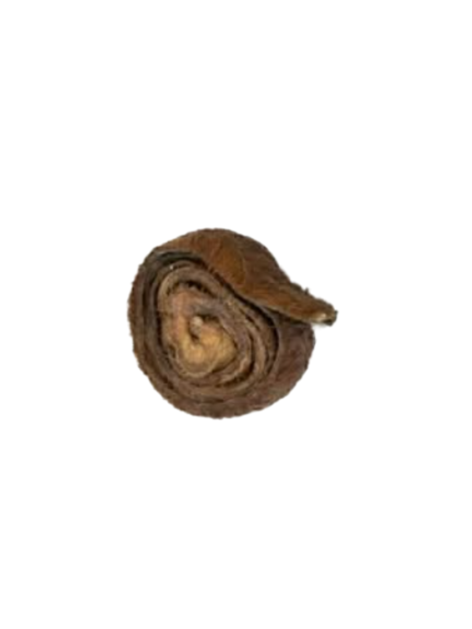 VRAC POUR CHIEN - Brioche de peau de boeuf avec poil