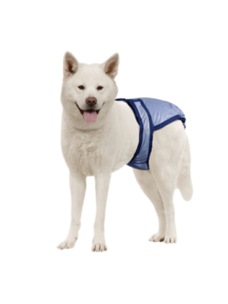 Pooch Pants - Couche Réutilisable F. Bêtes Gourmandes, spécialiste en nourriture et produits pour chien et chat en ligne et en magasin à Québec.