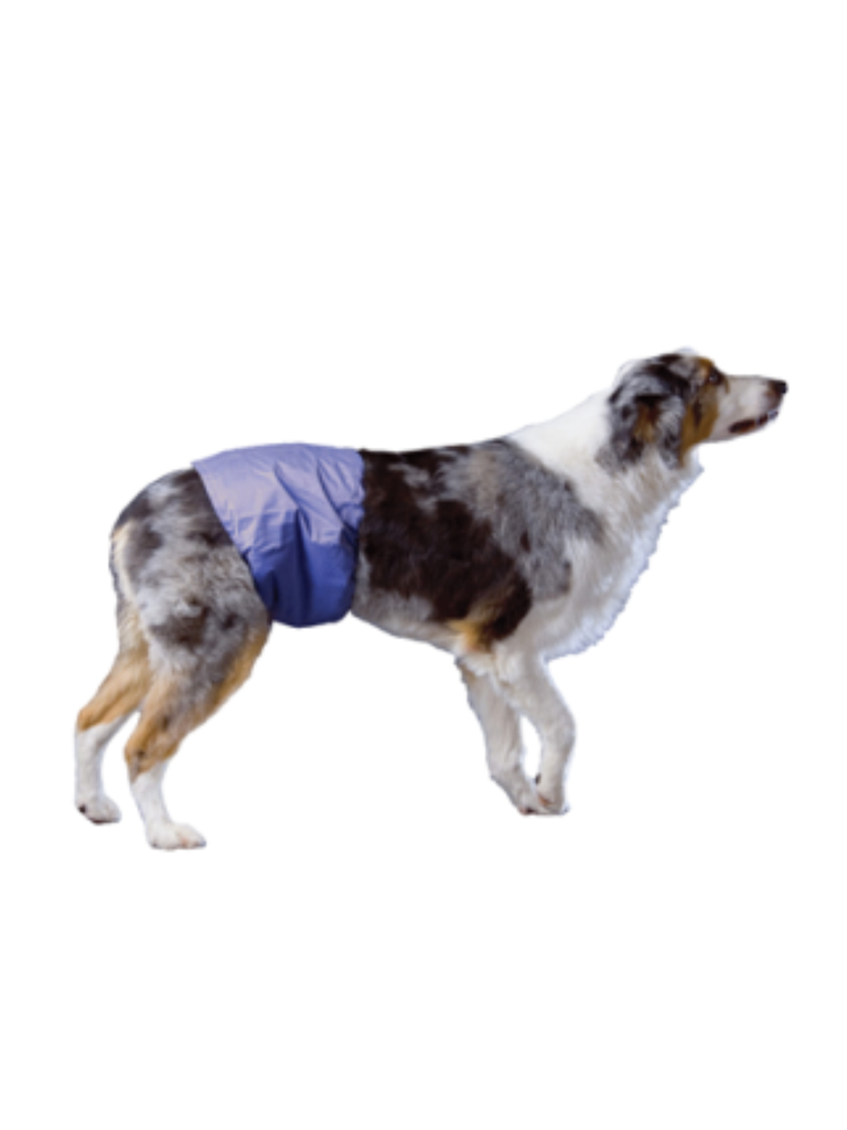 Poochpad - Couche Réutilisable Pour Chien Mâle. Bêtes Gourmandes, spécialiste en nourriture et produits pour chien et chat en ligne et en magasin à Québec.