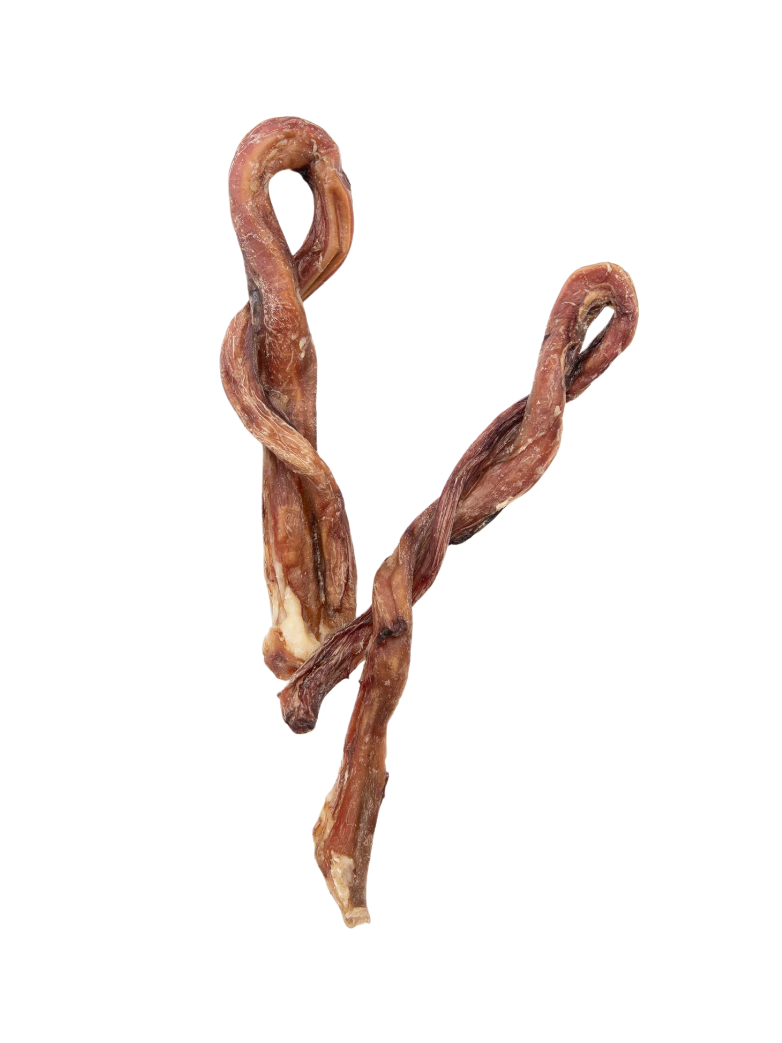 GVQ - Twist de bullystick tressé 6-8''. Bêtes Gourmandes, boutique spécialisée alimentation, éducation et sports pour chiens à Québec.