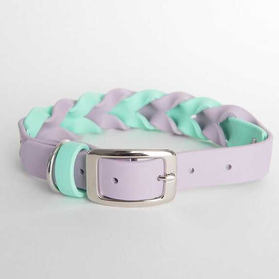 AIKO & CIE - Collier tressé. Bêtes Gourmandes, boutique spécialisée alimentation, éducation et sports pour chiens à Québec.