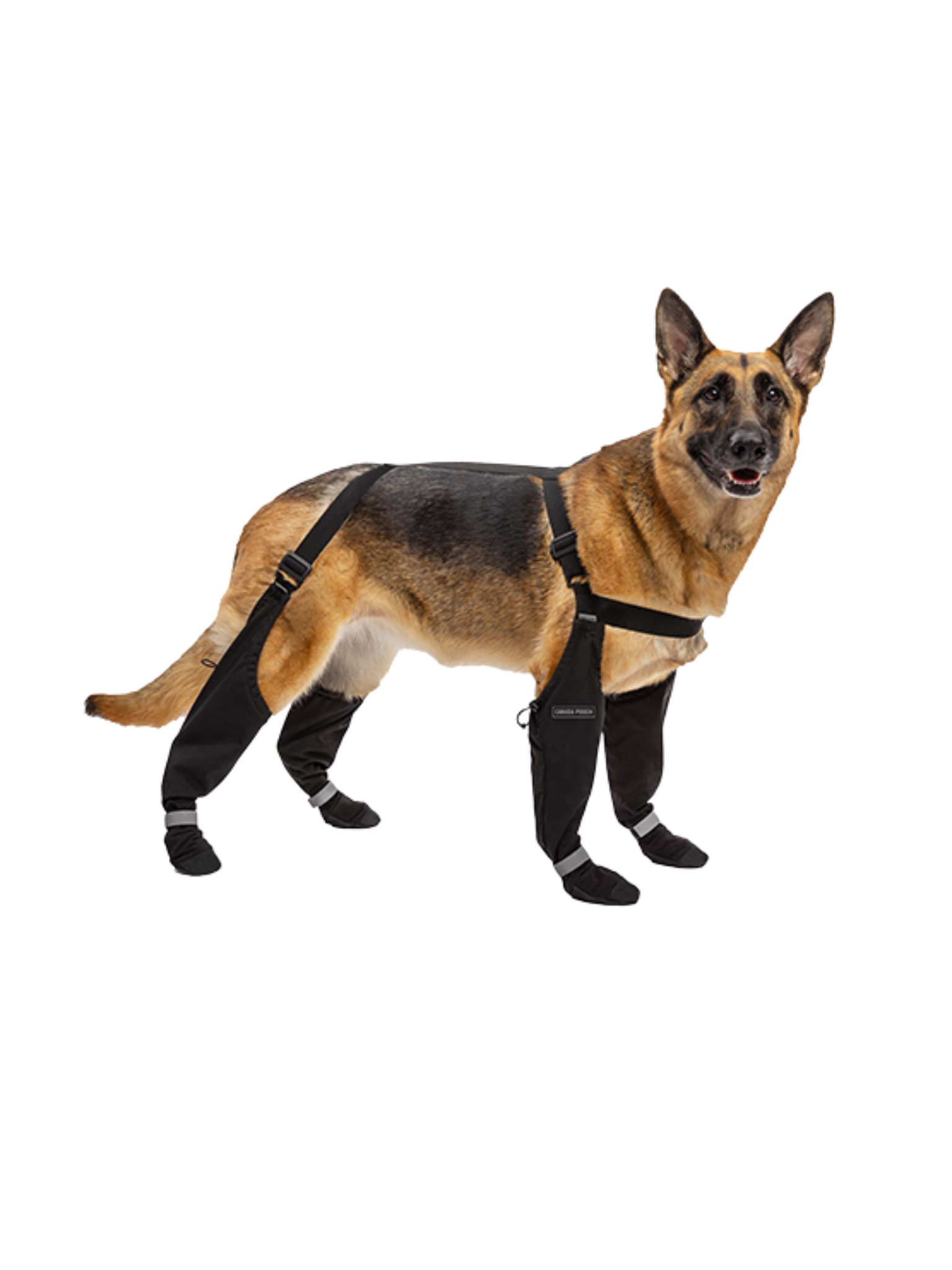 CANADA POOCH - Suspender bottes à bretelles régulières