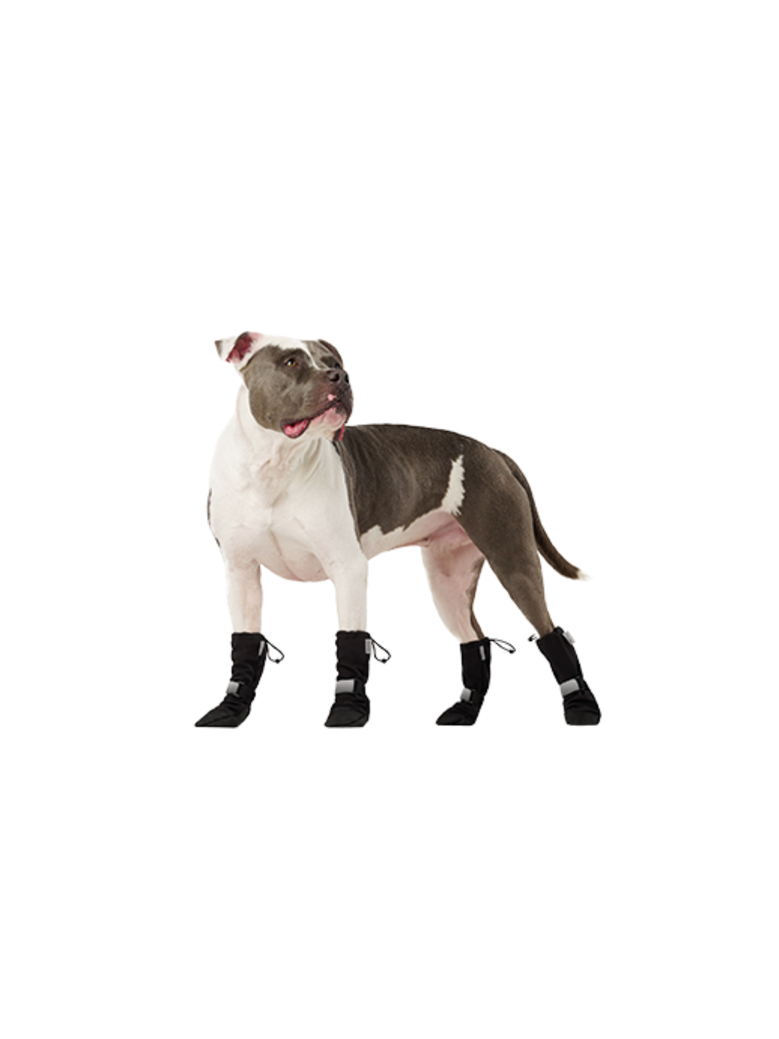 CANADA POOCH - Bottes d'hiver