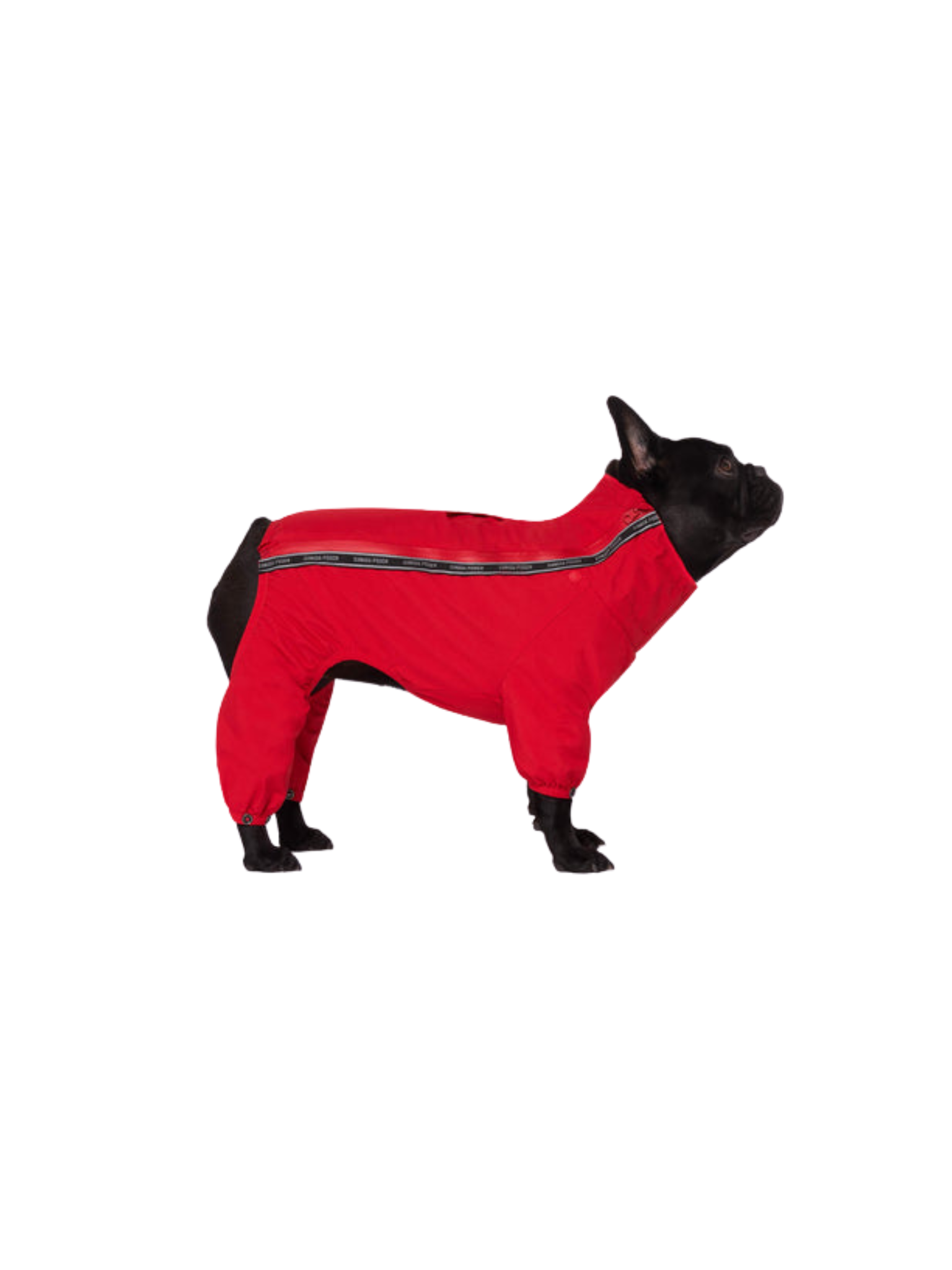Canada Pooch - Manteau De Neige. Bêtes Gourmandes, spécialiste en nourriture et produits pour chien et chat en ligne et en magasin à Québec.