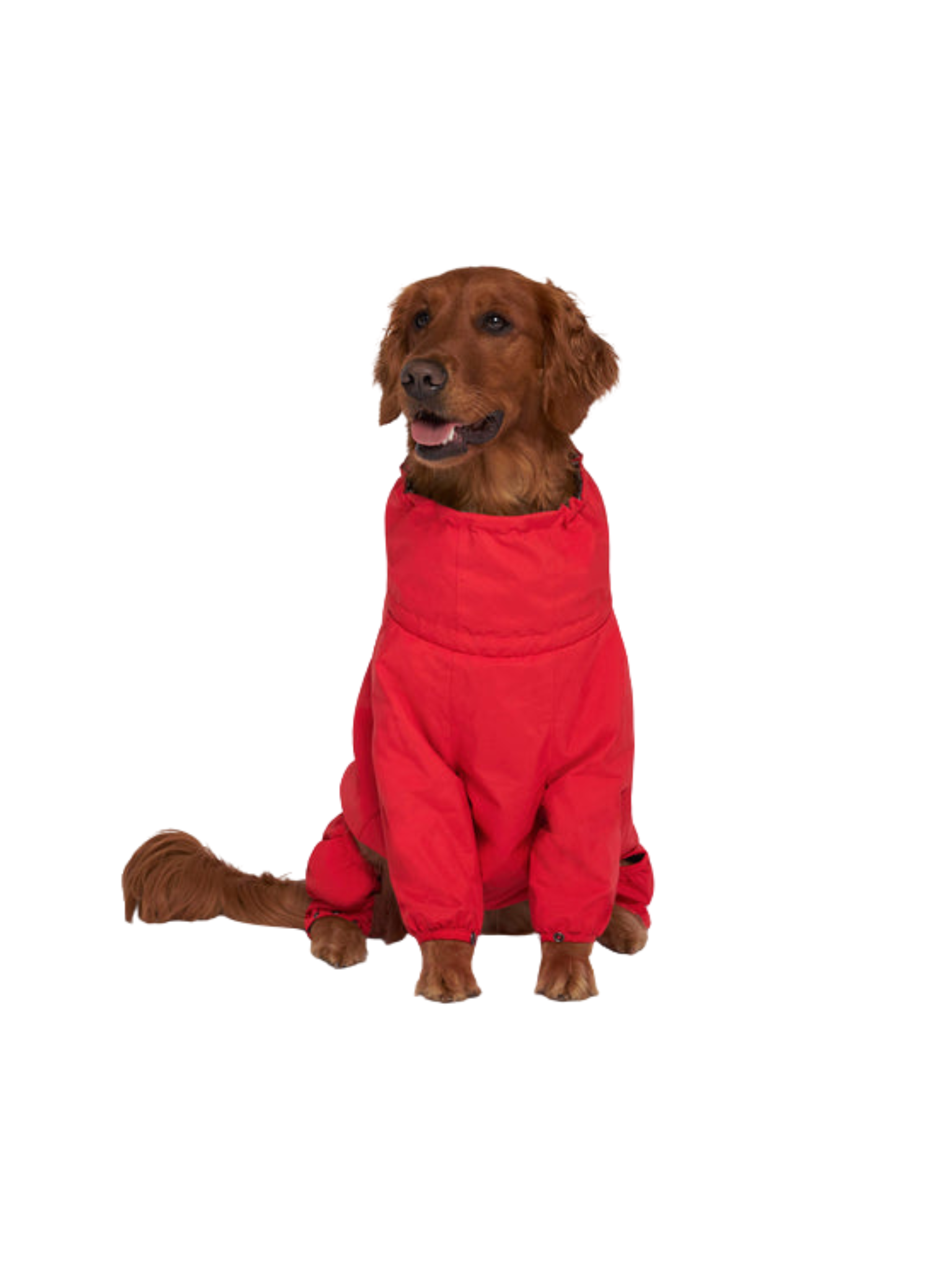 Canada Pooch - Manteau De Neige. Bêtes Gourmandes, spécialiste en nourriture et produits pour chien et chat en ligne et en magasin à Québec.