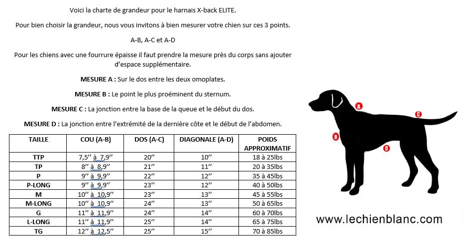 LE CHIEN BLANC - Harnais ELITE. Bêtes Gourmandes, boutique spécialisée alimentation, éducation et sports pour chiens à Québec.