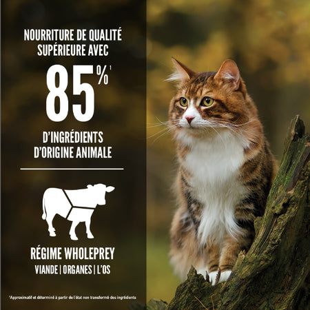 Orijen - Régional Red pour Chat. Bêtes Gourmandes, spécialiste en nourriture et produits pour chien et chat en ligne et en magasin à Québec.
