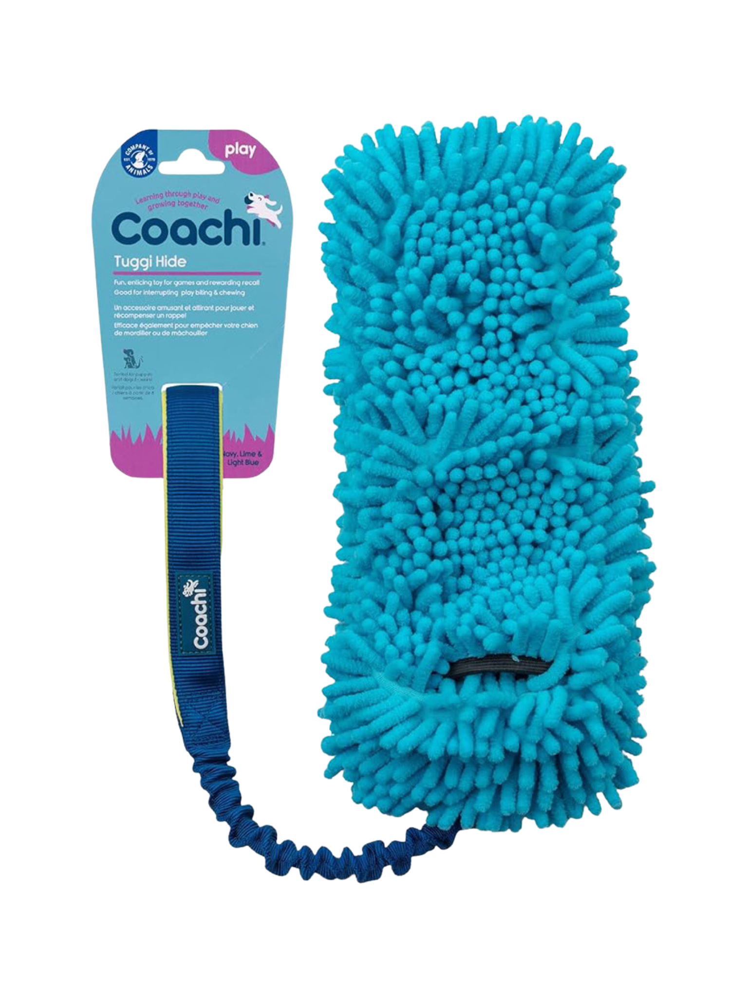 COACHI - Tug cache-cache bleu