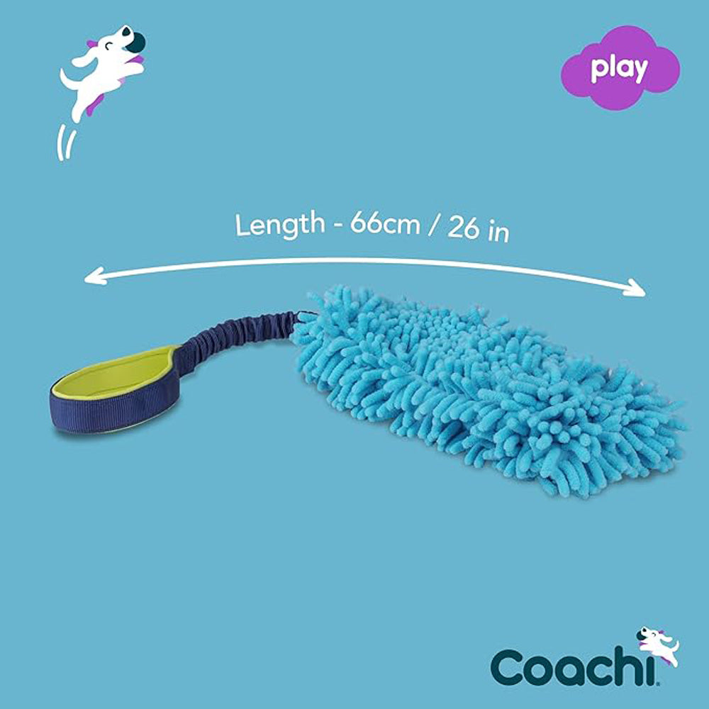 COACHI - Tug cache-cache bleu. Bêtes Gourmandes, boutique spécialisée alimentation, éducation et sports pour chiens à Québec.