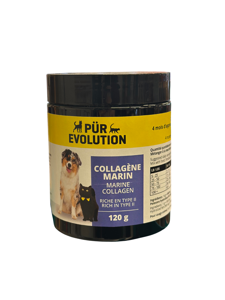 PÜR ÉVOLUTION - Collagène marin 120g. Bêtes Gourmandes, boutique spécialisée alimentation, éducation et sports pour chiens à Québec.