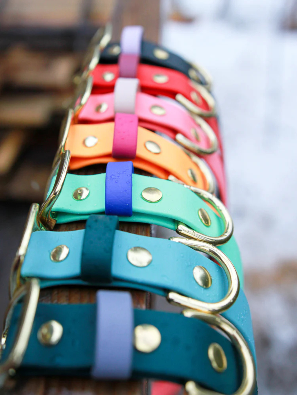 MÉDAILLES ALPINE - Collier en biothane