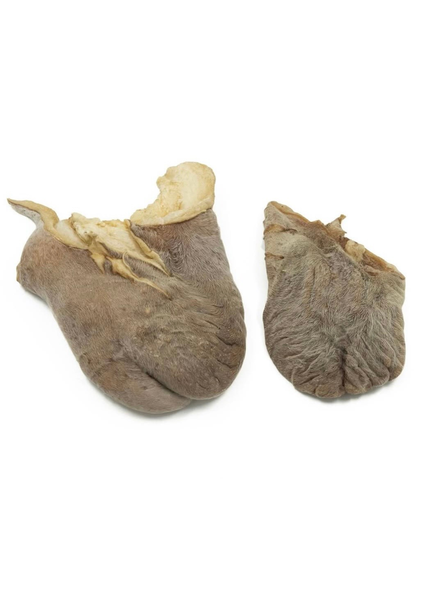 VRAC POUR CHIEN - Testicule de boeuf
