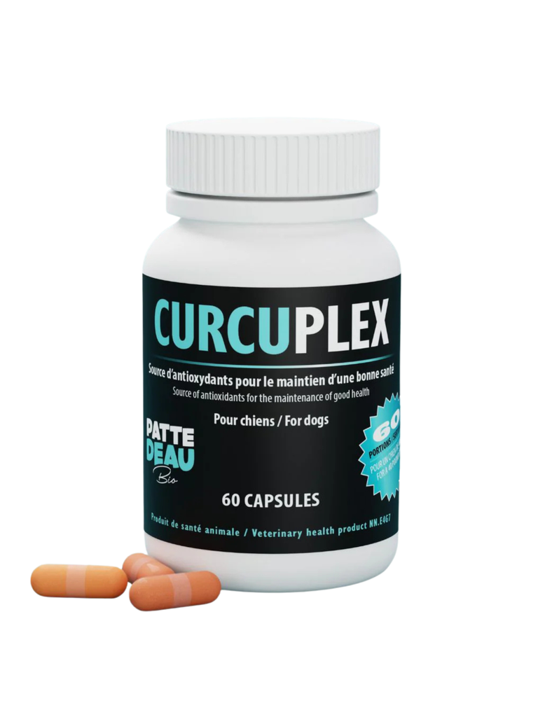 PATTED'EAUBIO - Curcuplex 60 capsules. Bêtes Gourmandes, boutique spécialisée alimentation, éducation et sports pour chiens à Québec.
