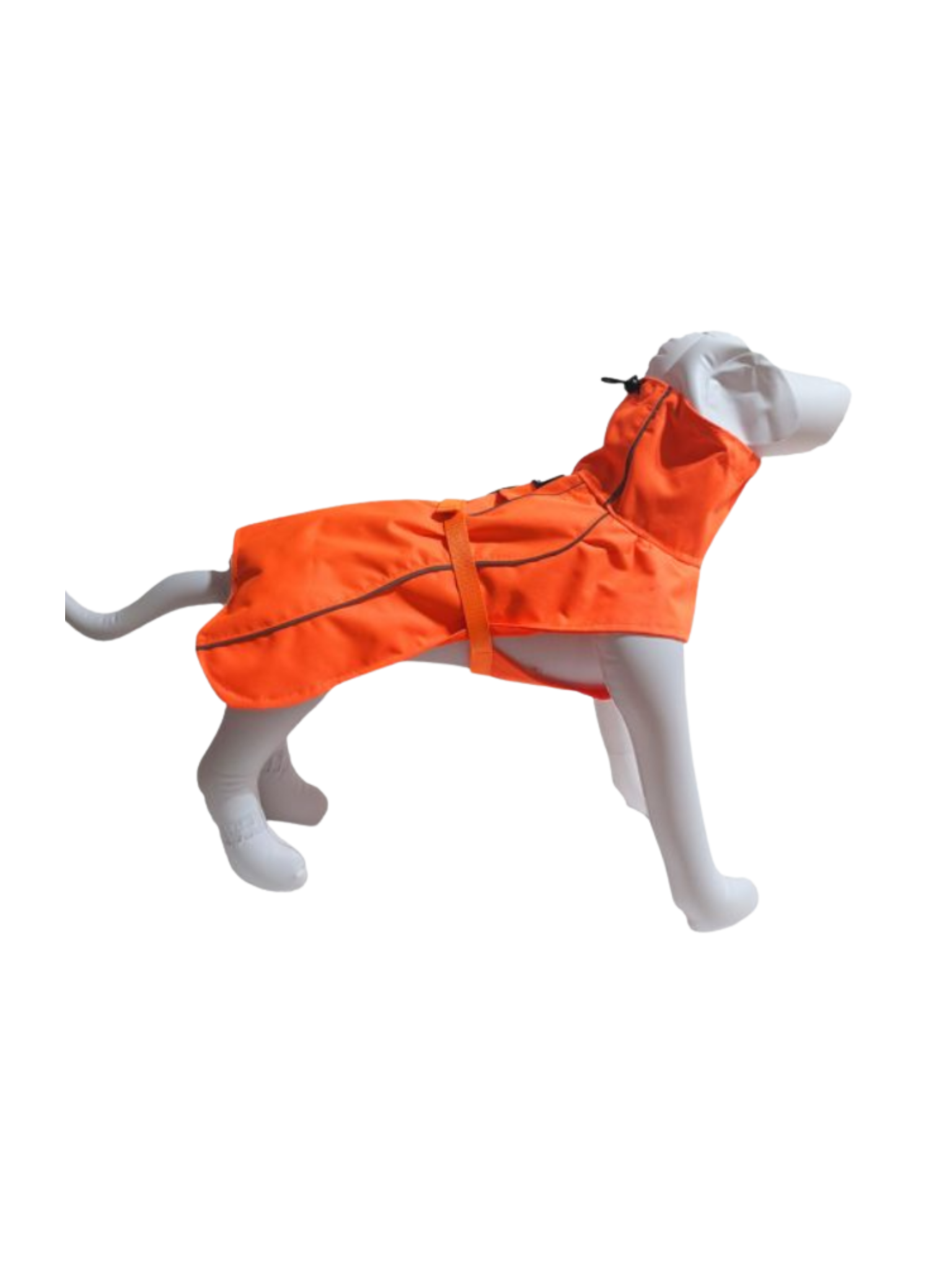 LE CHIEN BLANC - Manteau Équinoxe