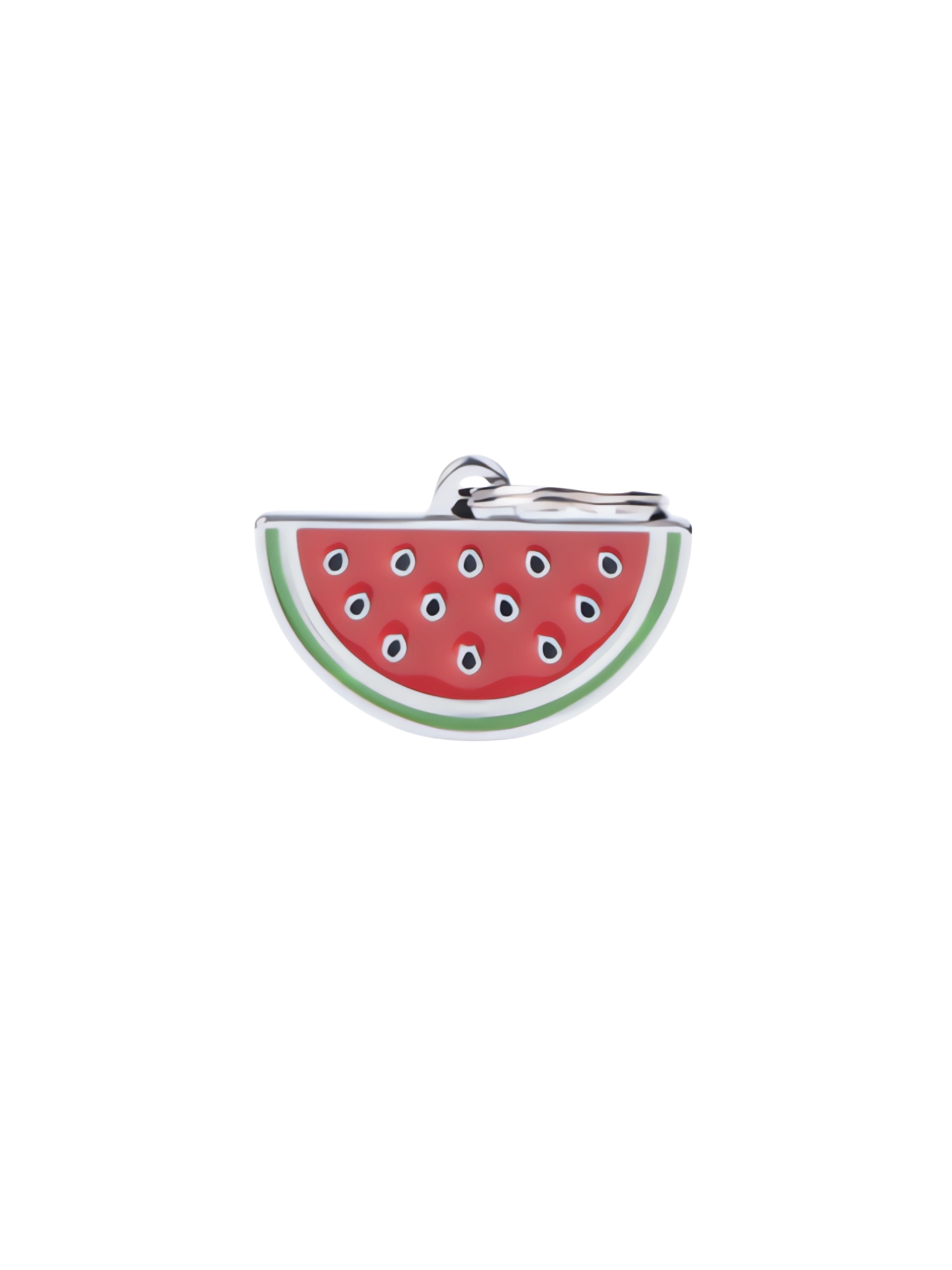 MYFAMILY - Médaille '' MELON D'EAU ''. Bêtes Gourmandes, boutique spécialisée alimentation, éducation et sports pour chiens à Québec.
