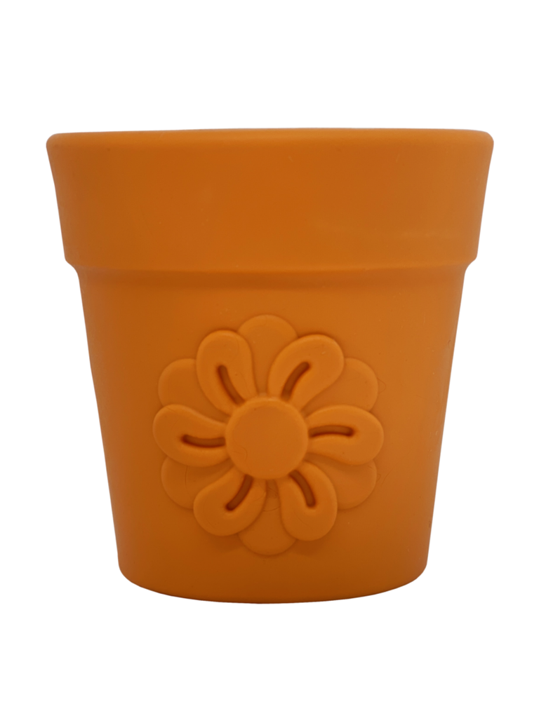 SODAPUP - Pot de fleur, bêtes gourmandes, ville de Québec.