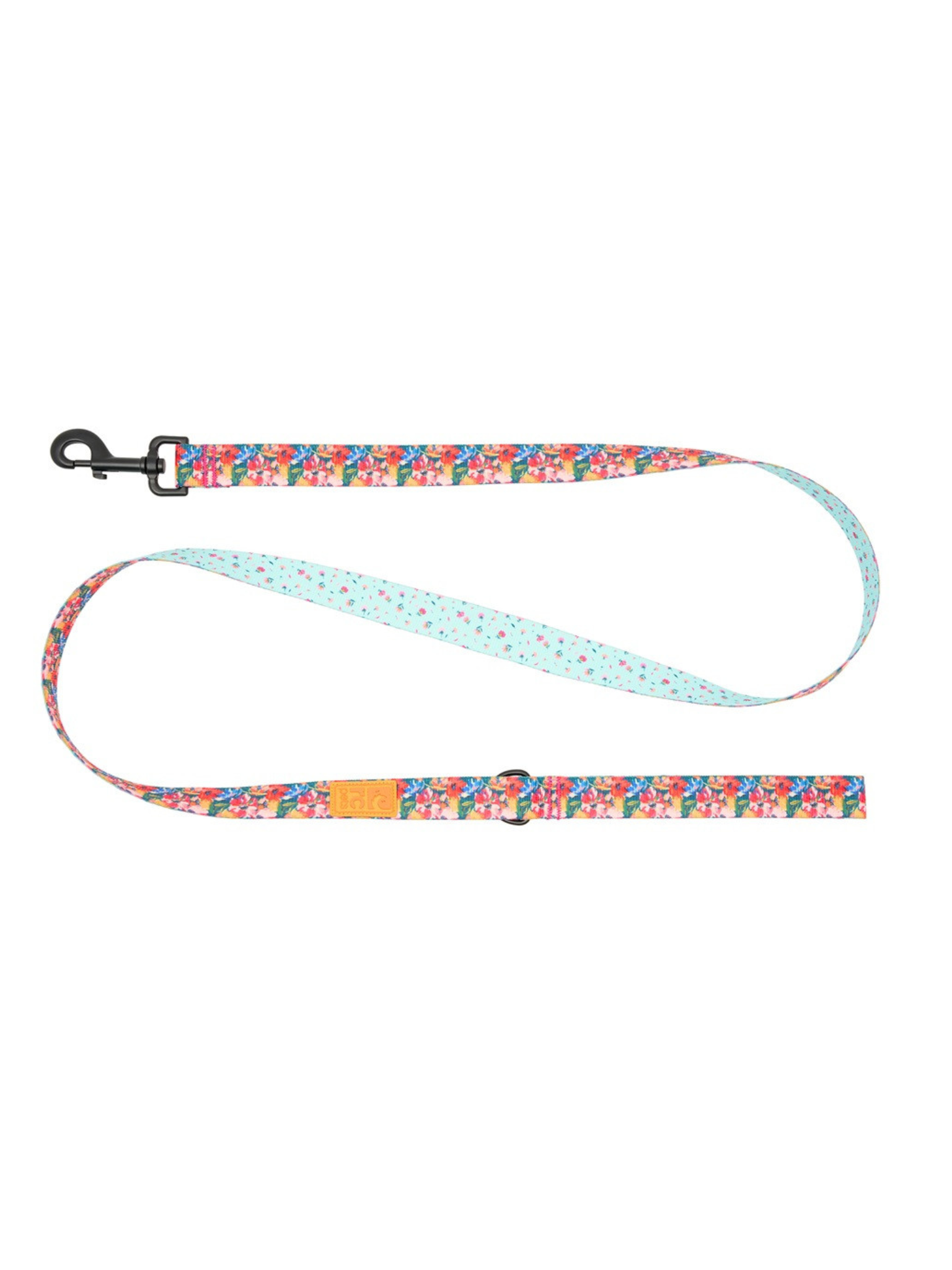 RC PETS - Laisse eco. Bêtes Gourmandes, boutique spécialisée alimentation, éducation et sports pour chiens à Québec.