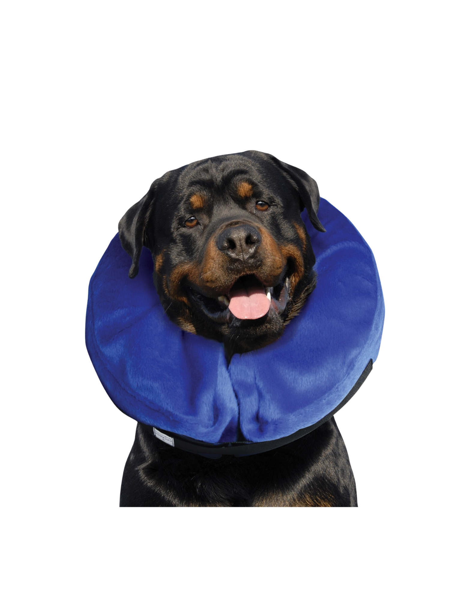 Kong - Collier Gonflable Cloud. Bêtes Gourmandes, spécialiste en nourriture et produits pour chien et chat en ligne et en magasin à Québec.