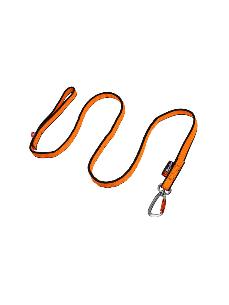La Non-stop dogwear Bungee leash a été conçue pour la pratique de la course à pied, du VTT et du ski avec des chiens. Bêtes Gourmandes, boutique spécialisée chien et chat à Québec.