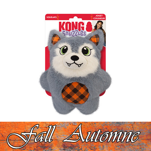 KONG - Jouet assorti Halloween. Bêtes Gourmandes, boutique spécialisée alimentation, éducation et sports pour chiens à Québec. 