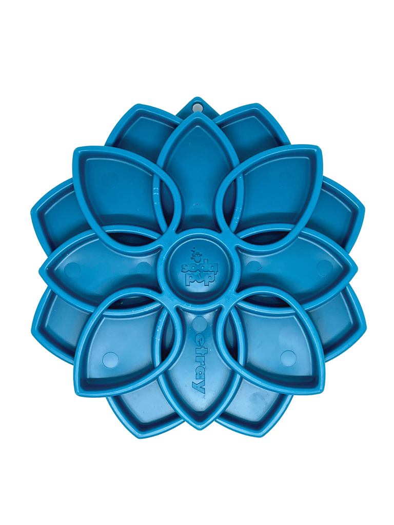 SODAPUP - Bol mandala. Bêtes Gourmandes, boutique spécialisée alimentation, éducation et sports pour chiens à Québec.