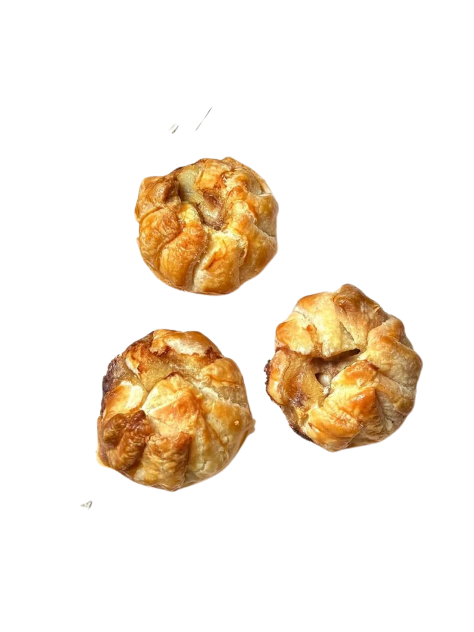 CHIEN GOURMAND - Mini tourtière de Noël pour chien. Bêtes Gourmandes, boutique spécialisée alimentation, éducation et sports pour chiens à Québec.