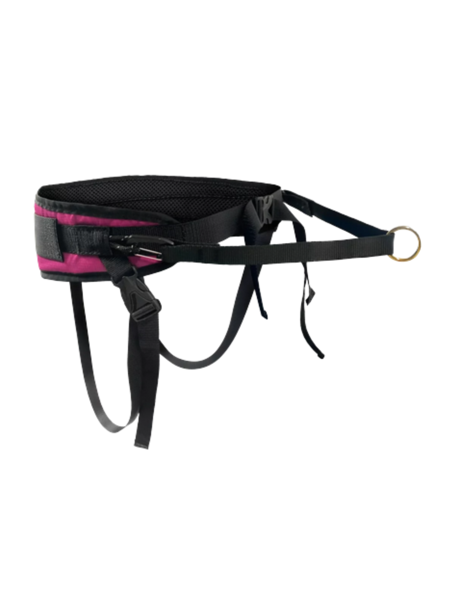 La ceinture de marche parfaite pour une promenade en ville ou pour un canicross en sentier! Bêtes Gourmandes spécialiste en nutrition pour chien et chat et comportement canin à Québec.