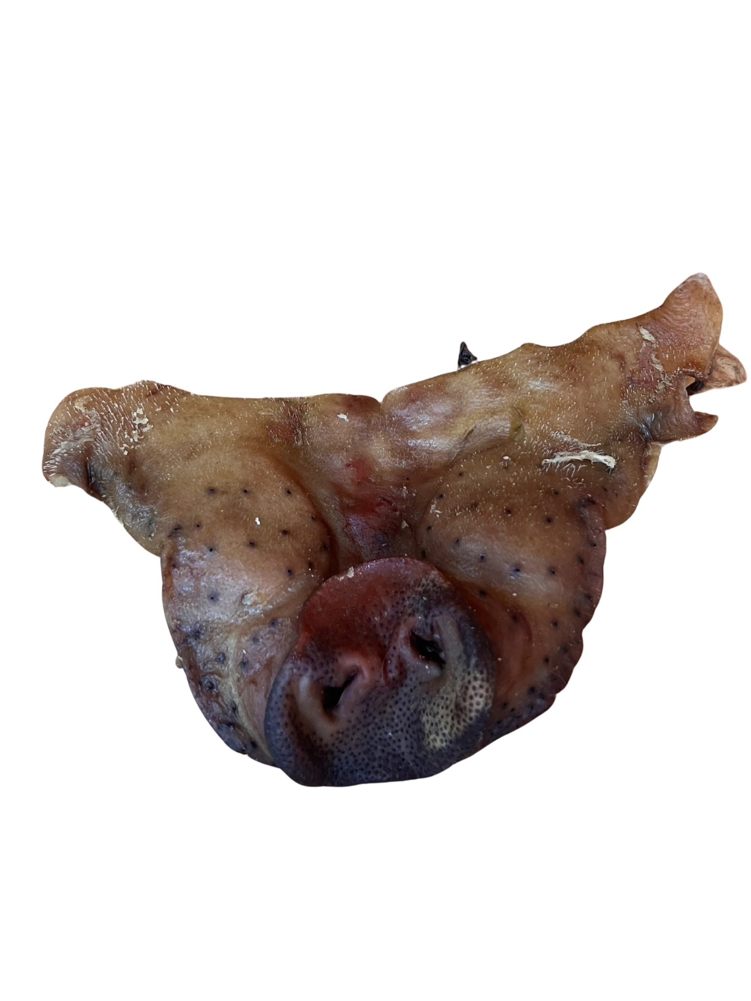 GVQ - Nez de porc. Bêtes Gourmandes, boutique spécialisée alimentation, éducation et sports pour chiens à Québec.