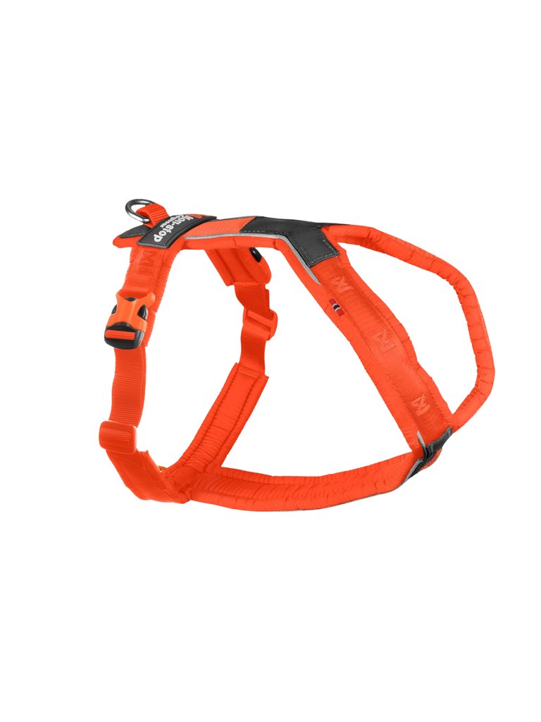 Harnais line 5.0 court ergonomique et polyvalent conçu pour la randonnée. Bêtes Gourmandes, boutique spécialisée en alimentation, éducation et sport canin à Québec.
