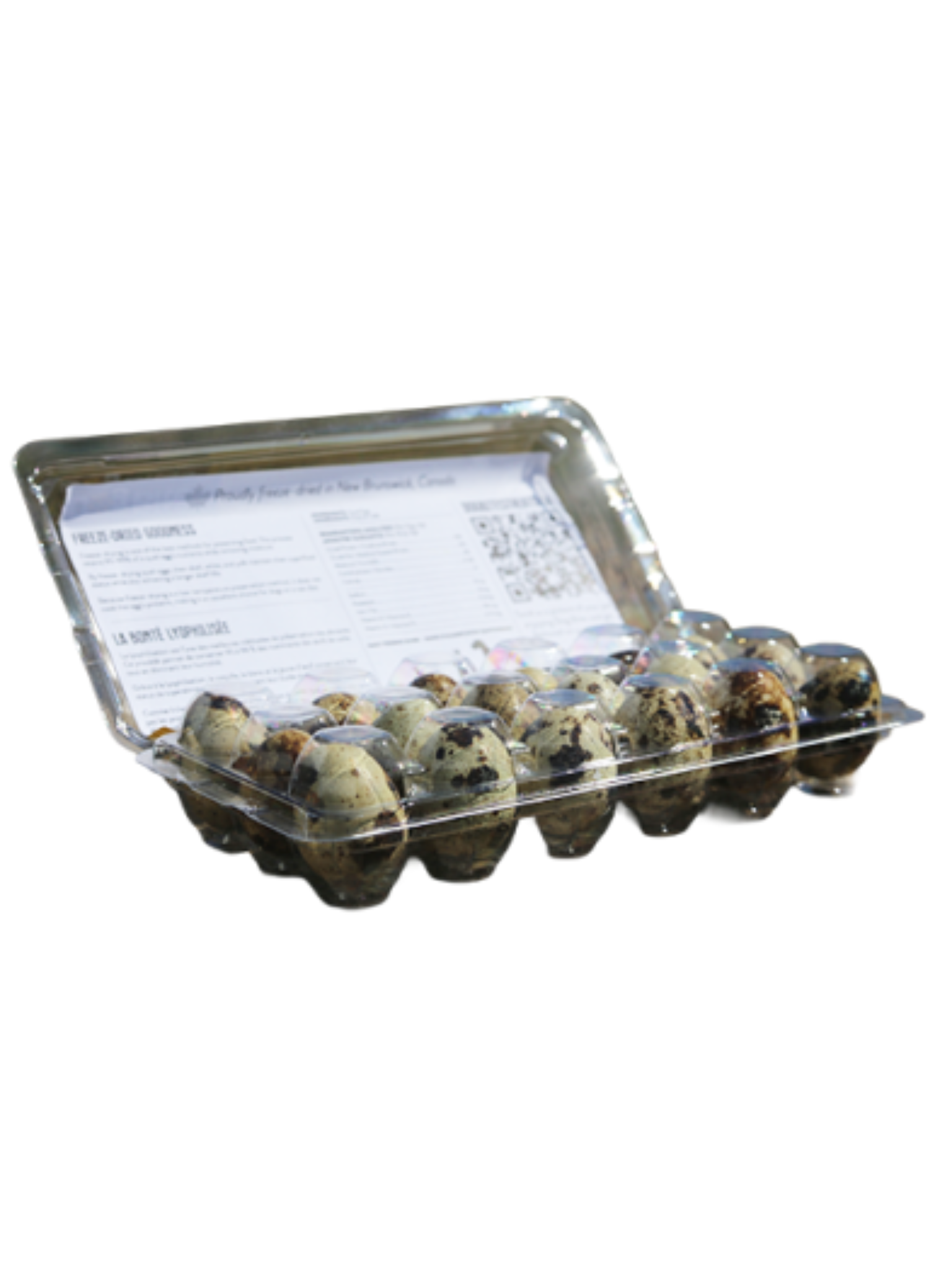 DOG BITES - Oeuf de caille lyophilisée (Paquet de 18). Bêtes Gourmandes, boutique spécialisée alimentation, éducation et sports pour chiens à Québec.