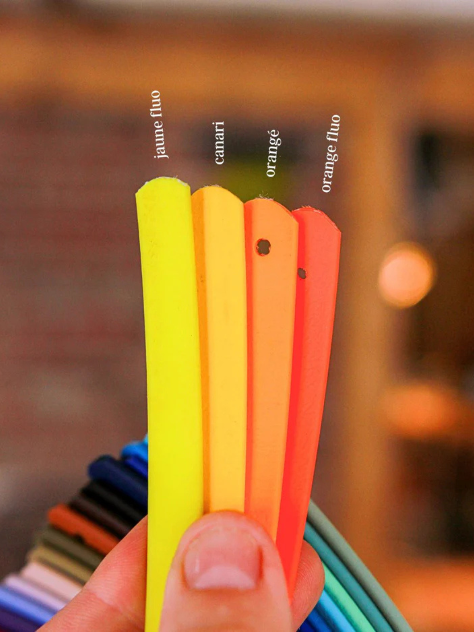 MÉDAILLE ALPINE - Longe 1/2 po 25 pi. Bêtes Gourmandes, boutique spécialisée alimentation, éducation et sports pour chiens à Québec.