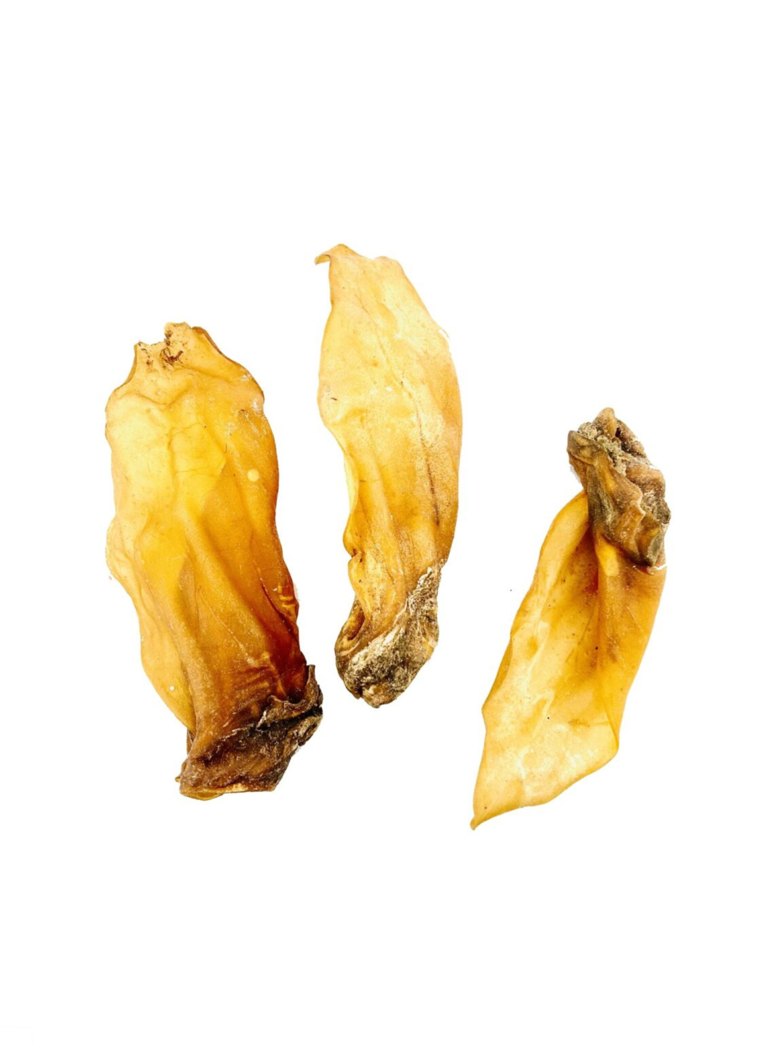 NATURE'S OWN - Oreille d'agneau. Bêtes Gourmandes, boutique spécialisée alimentation, éducation et sports pour chiens à Québec.