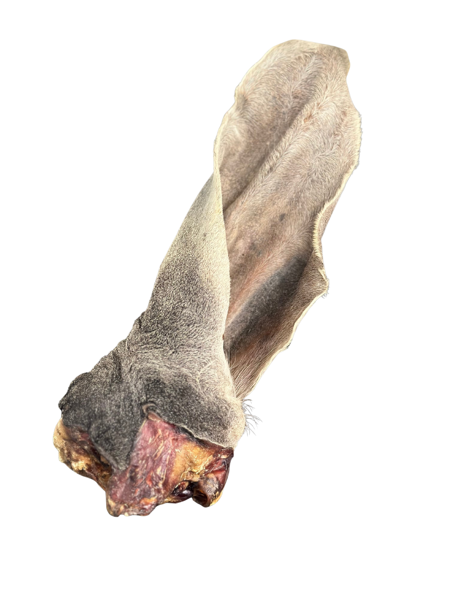 VRAC POUR CHIEN - Oreille de boeuf poilue géante . Bêtes Gourmandes, boutique spécialisée alimentation, éducation et sports pour chiens à Québec.