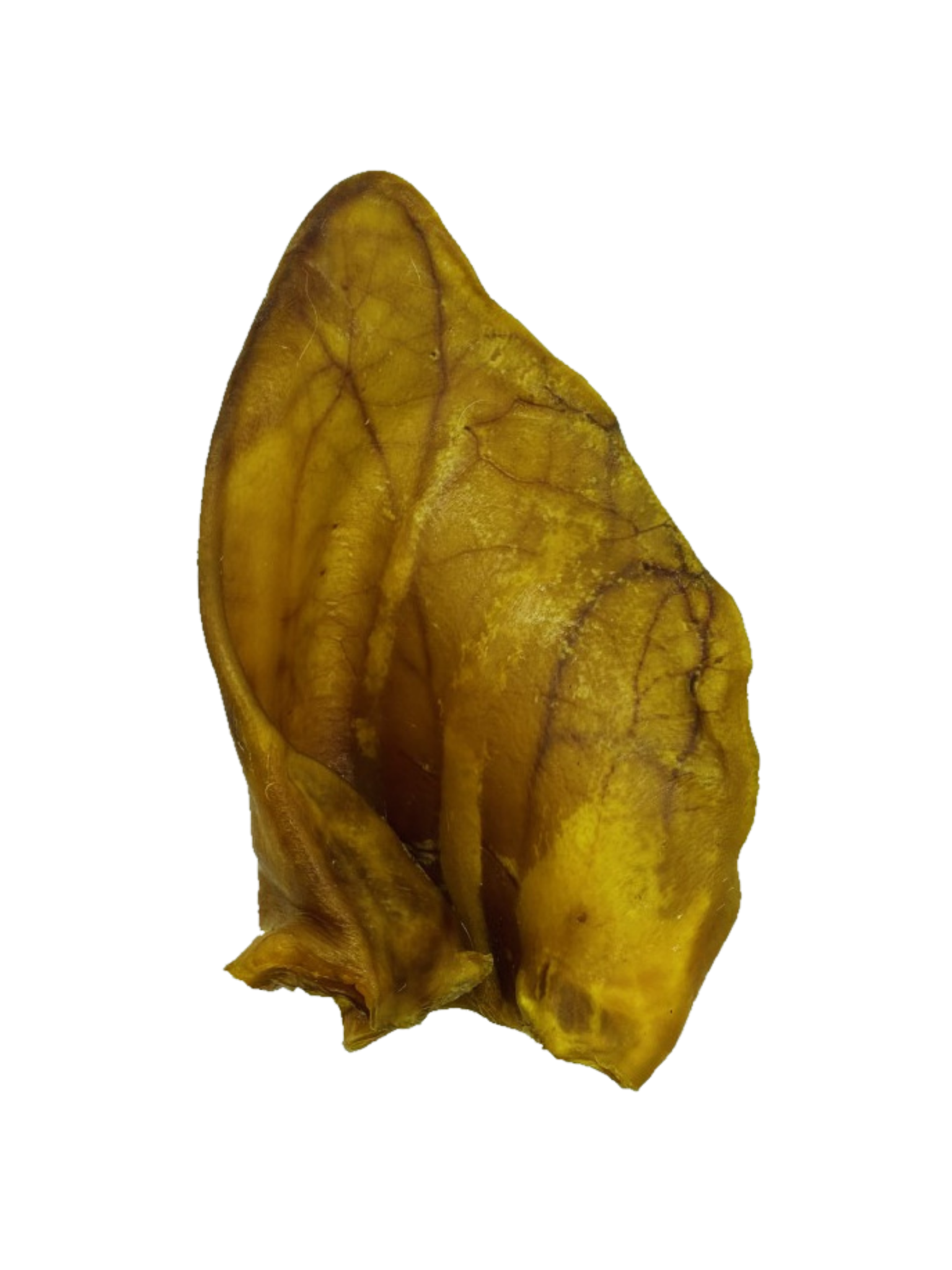 Oreilles De Porc À L'Unité. Bêtes Gourmandes, spécialiste en nourriture et produits pour chien et chat en ligne et en magasin à Québec.