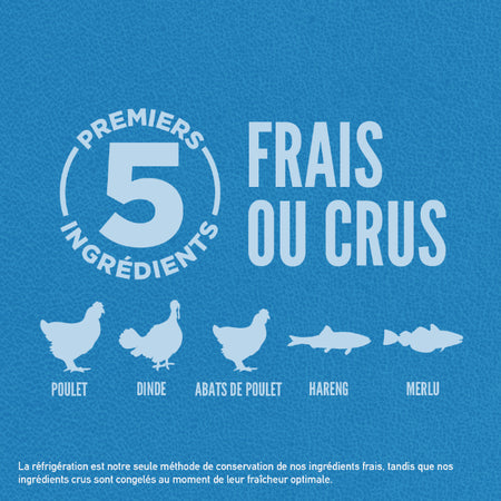 ORIJEN - Originale 11.4kg. Bêtes Gourmandes, boutique spécialisée alimentation, éducation et sports pour chiens à Québec.