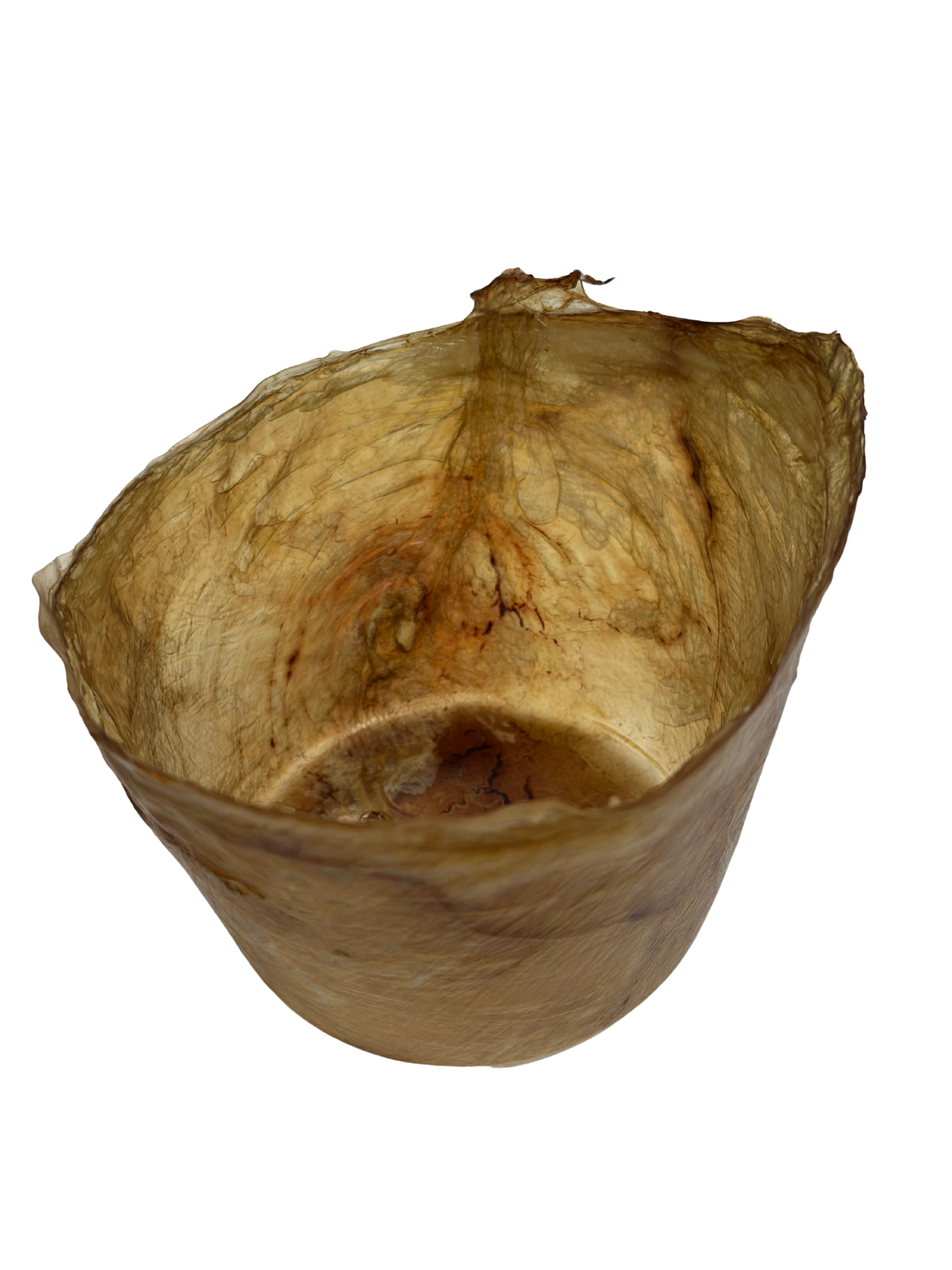 VRAC POUR CHIEN - Panier de vessie de boeuf. Bêtes Gourmandes, boutique spécialisée alimentation, éducation et sports pour chiens à Québec.