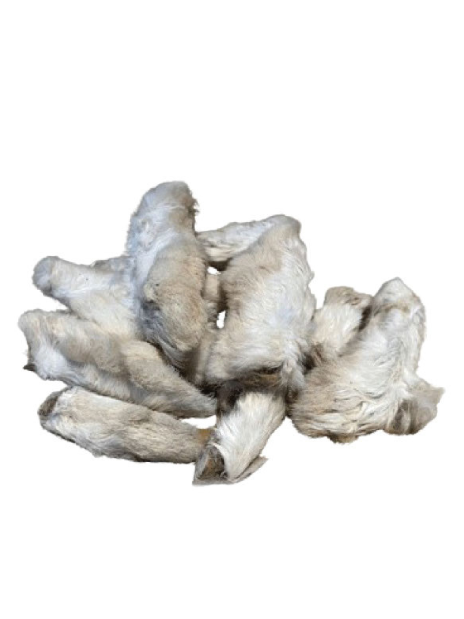 PAWPAW - Pattes de lapin