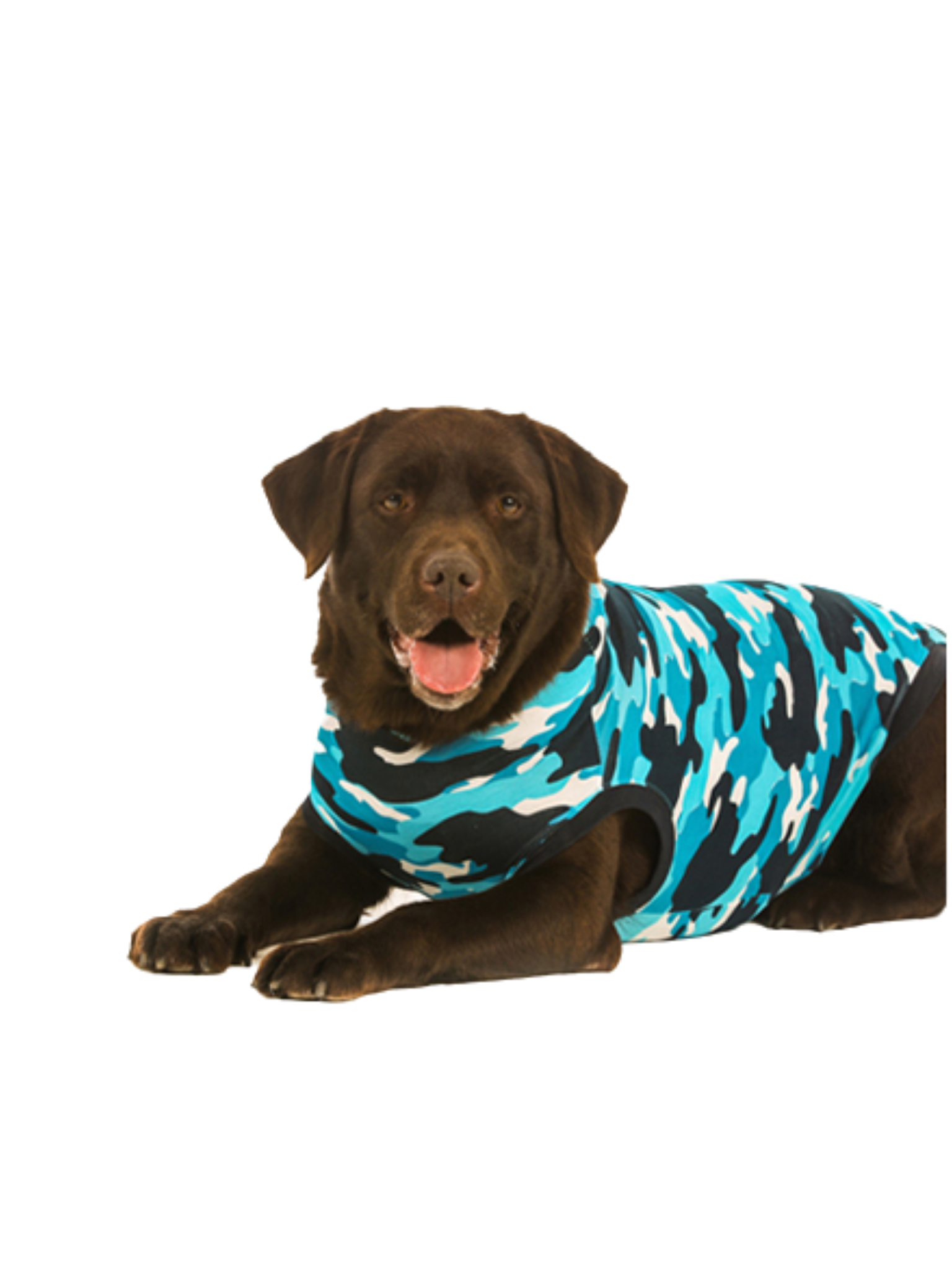 Suitical - Pyjamas Post-Opératoire Pour Chiens. Bêtes Gourmandes, spécialiste en nourriture et produits pour chien et chat en ligne et en magasin à Québec.