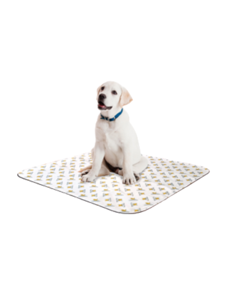 Fabriqués avec des fibres microfines et une technologie inhibant les odeurs, les PoochPad™ sont des coussinets absorbants qui contrôlent les odeurs, idéaux pour les chiots, les chiens âgés ou incontinents et les chiens qui sont « seuls à la maison » tout au long de la journée de travail. 