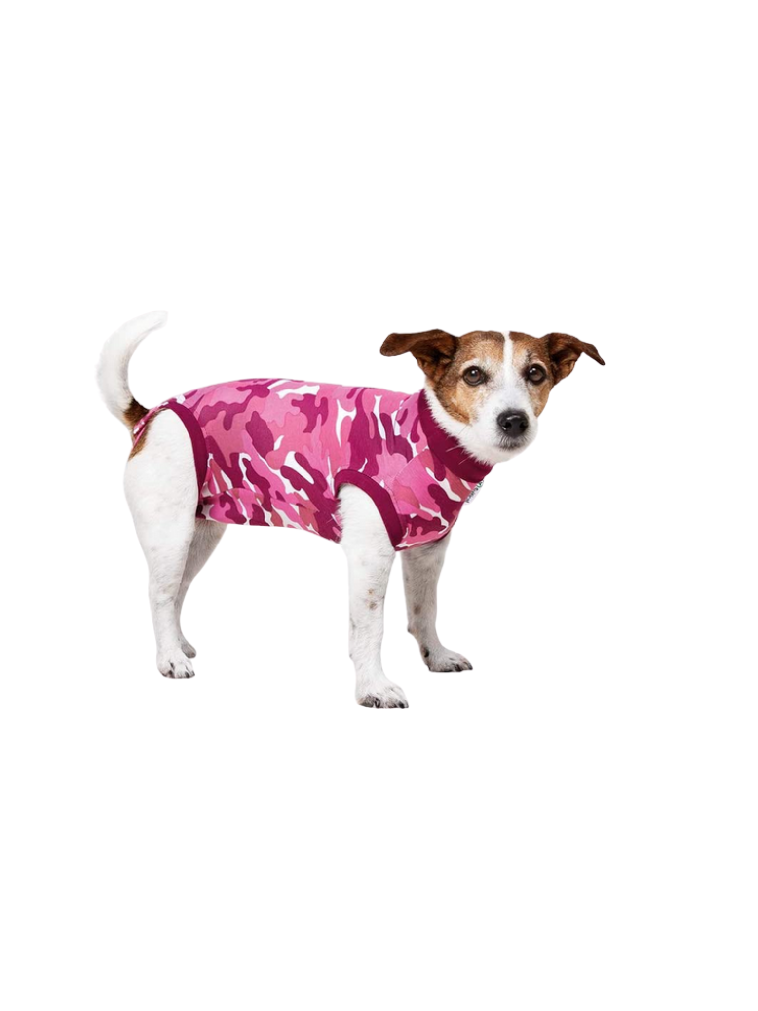 Suitical - Pyjamas Post-Opératoire Pour Chiens. Bêtes Gourmandes, spécialiste en nourriture et produits pour chien et chat en ligne et en magasin à Québec.